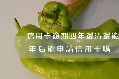 信用卡逾期四年還清還能用嗎(逾期還清后5年后能申請信用卡嗎)