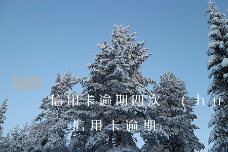 信用卡逾期四次會(huì)有什么影響(4張信用卡逾期)