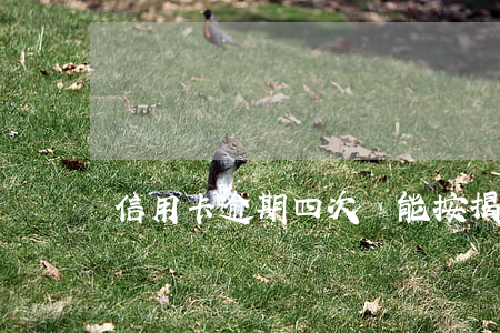 信用卡逾期四次還能按揭嗎