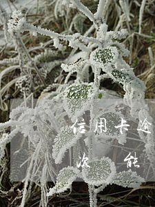 信用卡逾期四次還能貸車貸嗎(信用卡逾期四次還能貸車貸嗎)