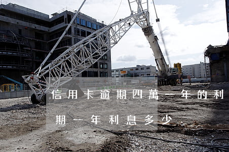 信用卡逾期四萬一年的利息-信用卡4萬逾期一年利息多少