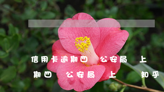 信用卡逾期四萬公安局會上門嗎-信用卡逾期四萬公安局會上門嗎知乎