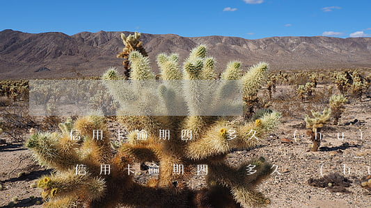信用卡逾期四萬多久會(huì)被起訴呢(信用卡逾期四萬多久會(huì)被起訴呢)