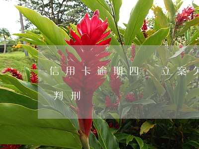 信用卡逾期四萬立案(欠四萬信用卡逾期會被判刑嗎)