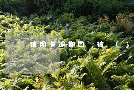 信用卡逾期四萬被經(jīng)偵傳喚