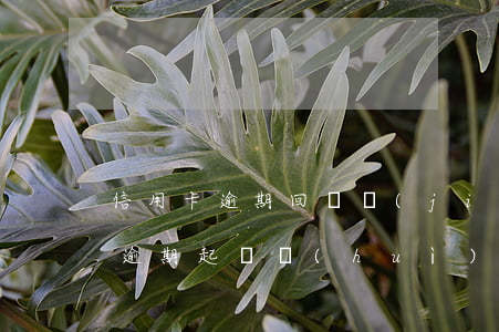 信用卡逾期回凍結(jié)妻子嗎(信用卡逾期起訴會(huì)連帶妻子嗎)