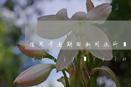 信用卡逾期回到司法所嗎(信用卡逾期多久會(huì)進(jìn)入司法程序)