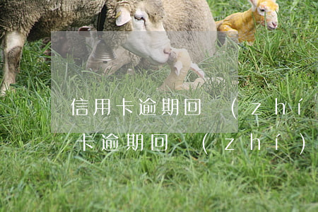 信用卡逾期回執(zhí)編號是什么(信用卡逾期回執(zhí)編號是什么)