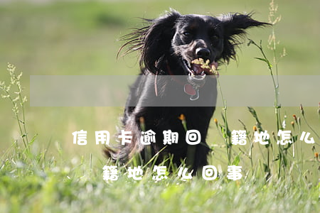 信用卡逾期回戶籍地怎么回事(信用卡逾期回戶籍地怎么回事)