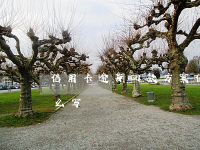 信用卡逾期回款方案(信用卡逾期回款方案怎么写)