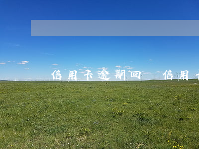 信用卡逾期回頭(信用卡3000逾期后果)
