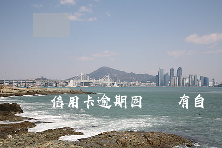 信用卡逾期因為沒有自動購匯