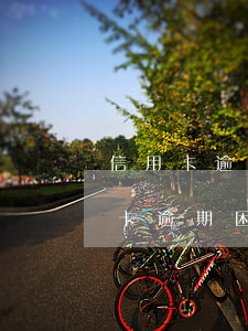 信用卡逾期困难证明模板村委会公章-信用卡逾期困难证明模板村委会公章有效吗