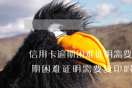 信用卡逾期困难证明需要复印吗-信用卡逾期困难证明需要复印吗怎么写