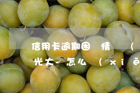 信用卡逾期困難情況說(shuō)明范本光大-怎么寫(xiě)信用卡逾期情況說(shuō)明