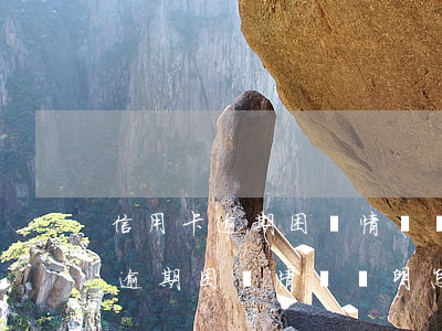 信用卡逾期困難情況說明怎么寫范文（信用卡逾期困難情況說明怎么寫）