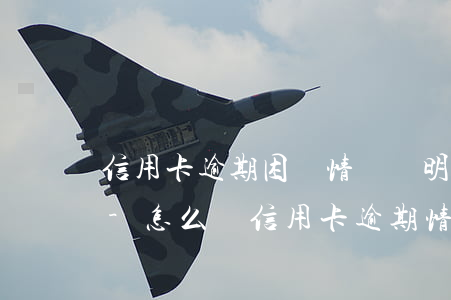 信用卡逾期困難情況說明范本興業(yè)-怎么寫信用卡逾期情況說明