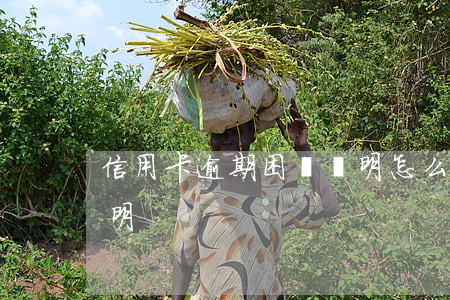 信用卡逾期困難證明怎么弄(還信用卡困難證明)