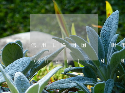 信用卡逾期困難證明手寫(信用卡逾期 村委會(huì)貧困證明這么寫)
