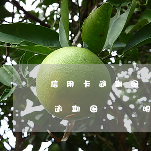 信用卡逾期困難證明辦不了怎么辦-信用卡逾期困難證明辦不了怎么辦呢