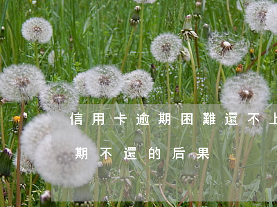 信用卡逾期困難還不上怎么辦-欠信用卡逾期不還的后果
