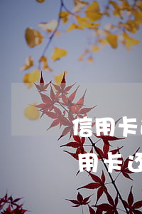 信用卡逾期图片截图2020(2020年信用卡还款成功截图)