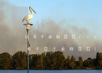 信用卡逾期國內(nèi)-中國多少人信用卡處于逾期狀態(tài)
