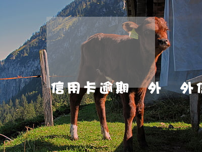 信用卡逾期國外(國外信用卡逾期怎么辦)