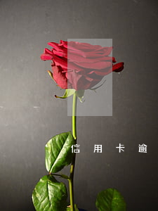 信用卡逾期國家會必死人