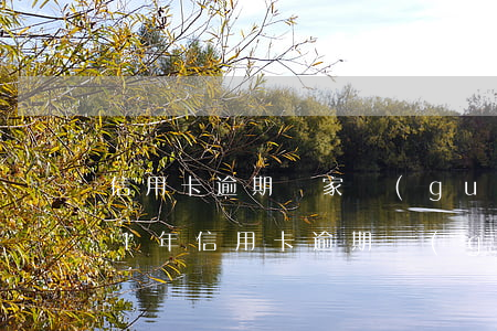 信用卡逾期國家規(guī)定多久(2021年信用卡逾期規(guī)定)