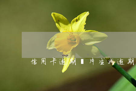 信用卡逾期圖片生成(逾期圖片制作)