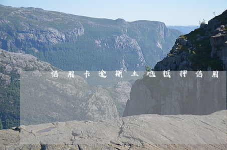信用卡逾期土地抵押(信用卡逾期土地抵押)