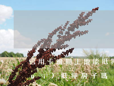 信用卡逾期土地能抵押嗎(信用卡逾期會(huì)抵押房子嗎)