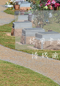 信用卡逾期在京东金融能借到钱吗 京东金融借钱逾期后还了怎么借不到钱了