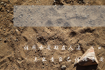 信用卡逾期在人法網(wǎng)能查到嗎-怎么查自己信用卡逾期有沒有被起訴