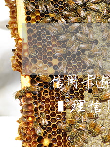 信用卡逾期在公司上班怎么辦-有沒有幫忙處理信用卡逾期的公司