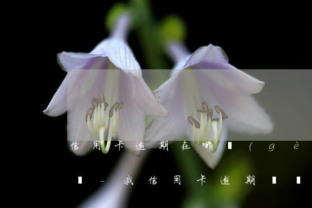 信用卡逾期在哪個(gè)地區(qū)起訴-我信用卡逾期幾個(gè)月了他們說要告我上法院