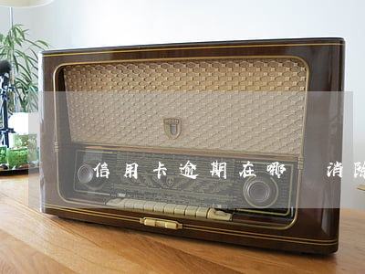 信用卡逾期在哪兒消除(注銷逾期過的信用卡)