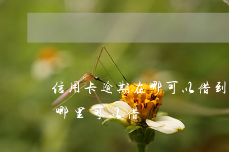 信用卡逾期在哪可以借到錢(信用卡逾期過在哪里可以借錢)