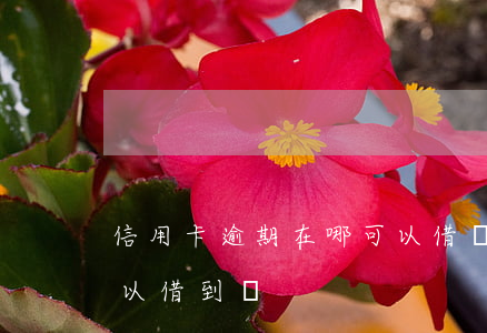 信用卡逾期在哪可以借錢 信用逾期哪里還可以借到錢