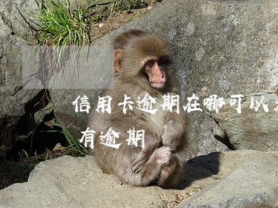 信用卡逾期在哪可以看見(怎么看信用卡有沒有逾期)