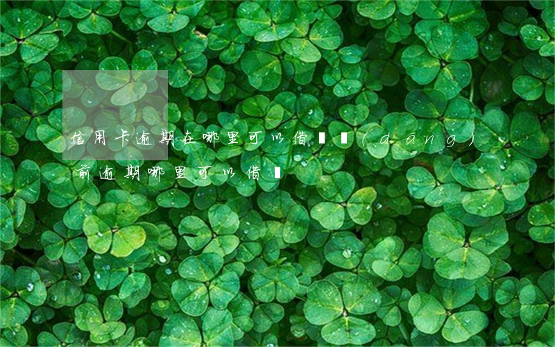 信用卡逾期在哪里可以借錢(當(dāng)前逾期哪里可以借錢)