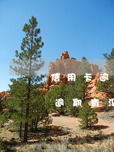 信用卡逾期在哪里可以看到起诉状态(信用卡逾期有没有被起诉怎么查询)