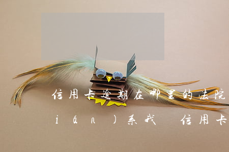 信用卡逾期在哪里的法院起訴(有律師聯(lián)系我說信用卡逾期起訴了)