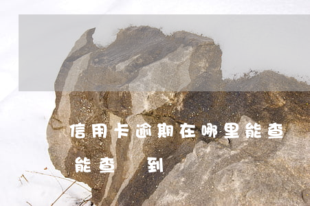 信用卡逾期在哪里能查詢(信用卡逾期在哪里能查詢到)