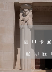 信用卡逾期在哪里還能再辦信用卡-信用卡逾期在哪里還能再辦信用卡呢