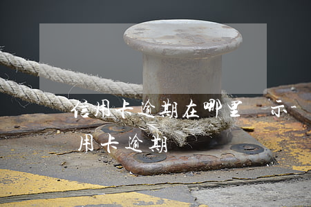 信用卡逾期在哪里顯示-怎么查看有沒有信用卡逾期