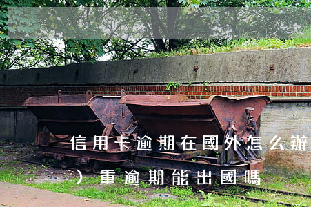 信用卡逾期在國外怎么辦(信用卡嚴(yán)重逾期能出國嗎)