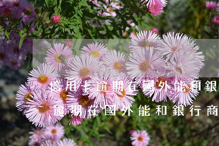 信用卡逾期在國外能和銀行商量嗎-信用卡逾期在國外能和銀行商量嗎知乎