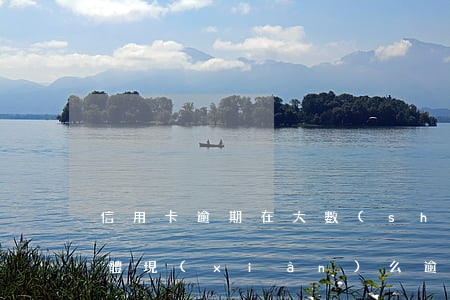 信用卡逾期在大數(shù)據(jù)上體現(xiàn)么(逾期大數(shù)據(jù)是什么)